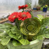 Tuteur d’énergie vitale avec circuit oscillant pour les plantes